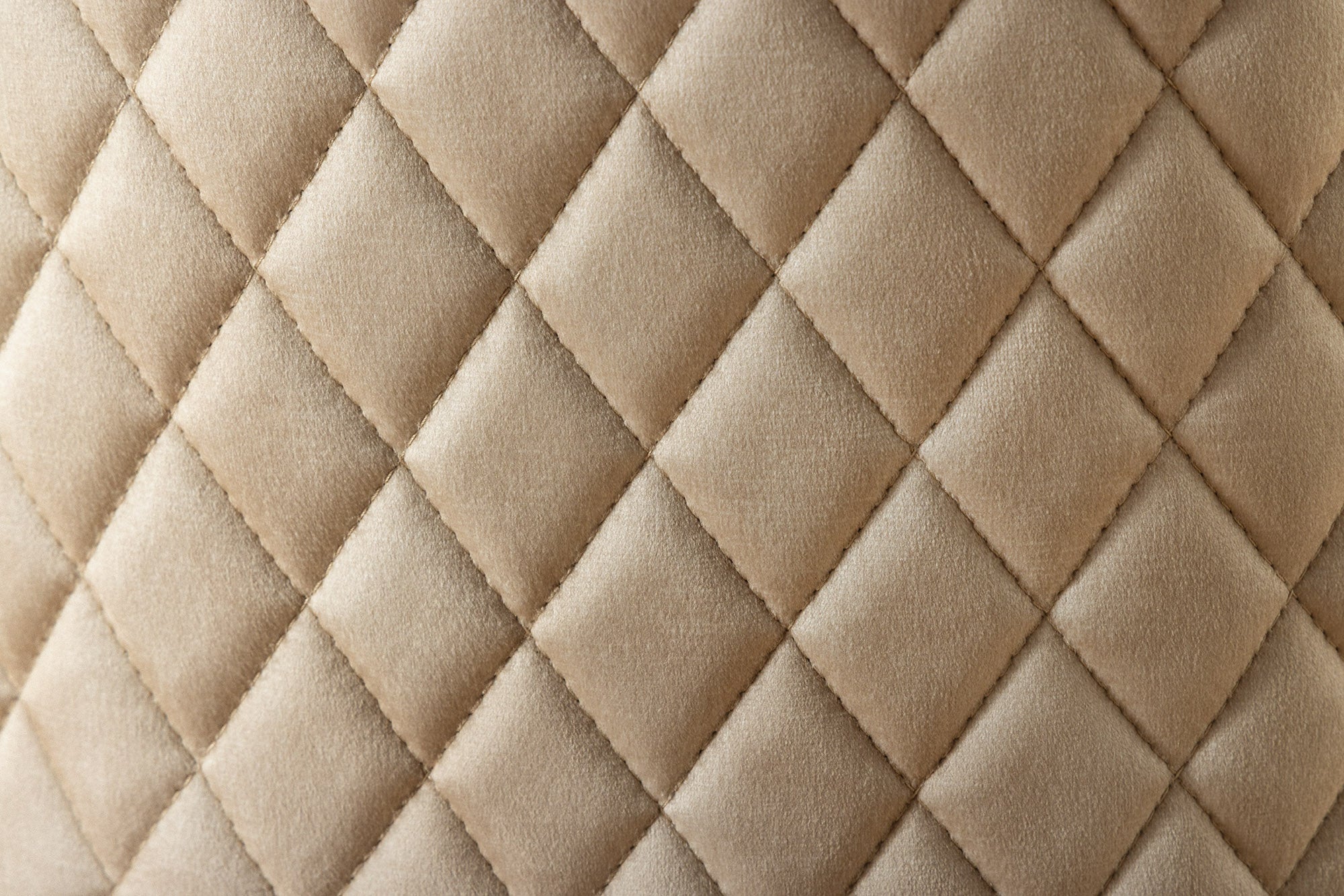 Lote de 2 sillas barrocas de terciopelo beige CASTLE DELUXE de acero inoxidable dorado con remaches decorativos en forma de cabeza de león