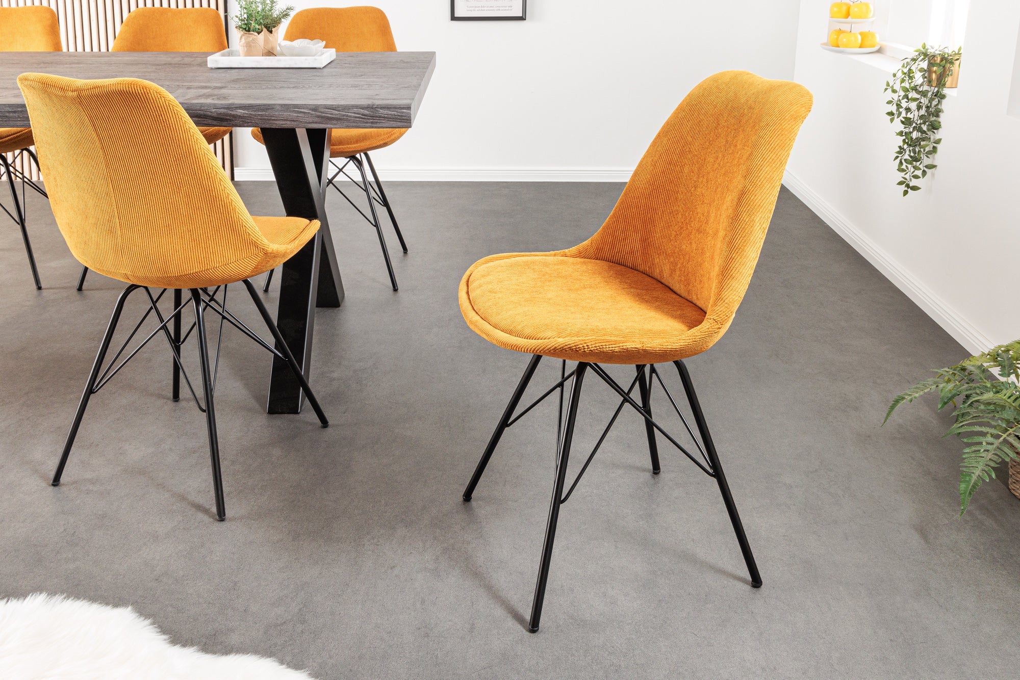 Lote de 2x sillas de diseño SCANDINAVIA MEISTERSTÜCK terciopelo amarillo mostaza patas de metal negro