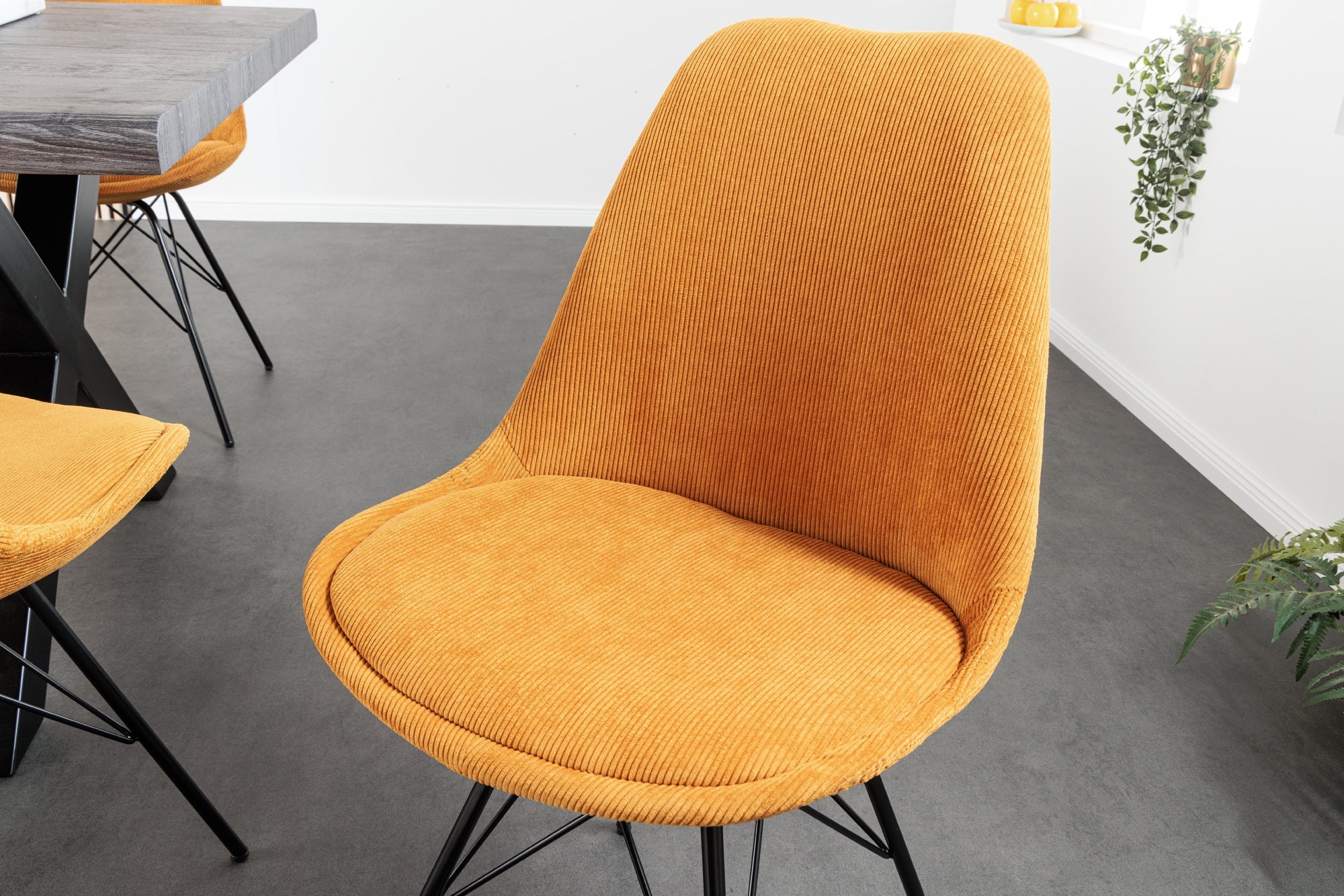 Lote de 2x sillas de diseño SCANDINAVIA MEISTERSTÜCK terciopelo amarillo mostaza patas de metal negro