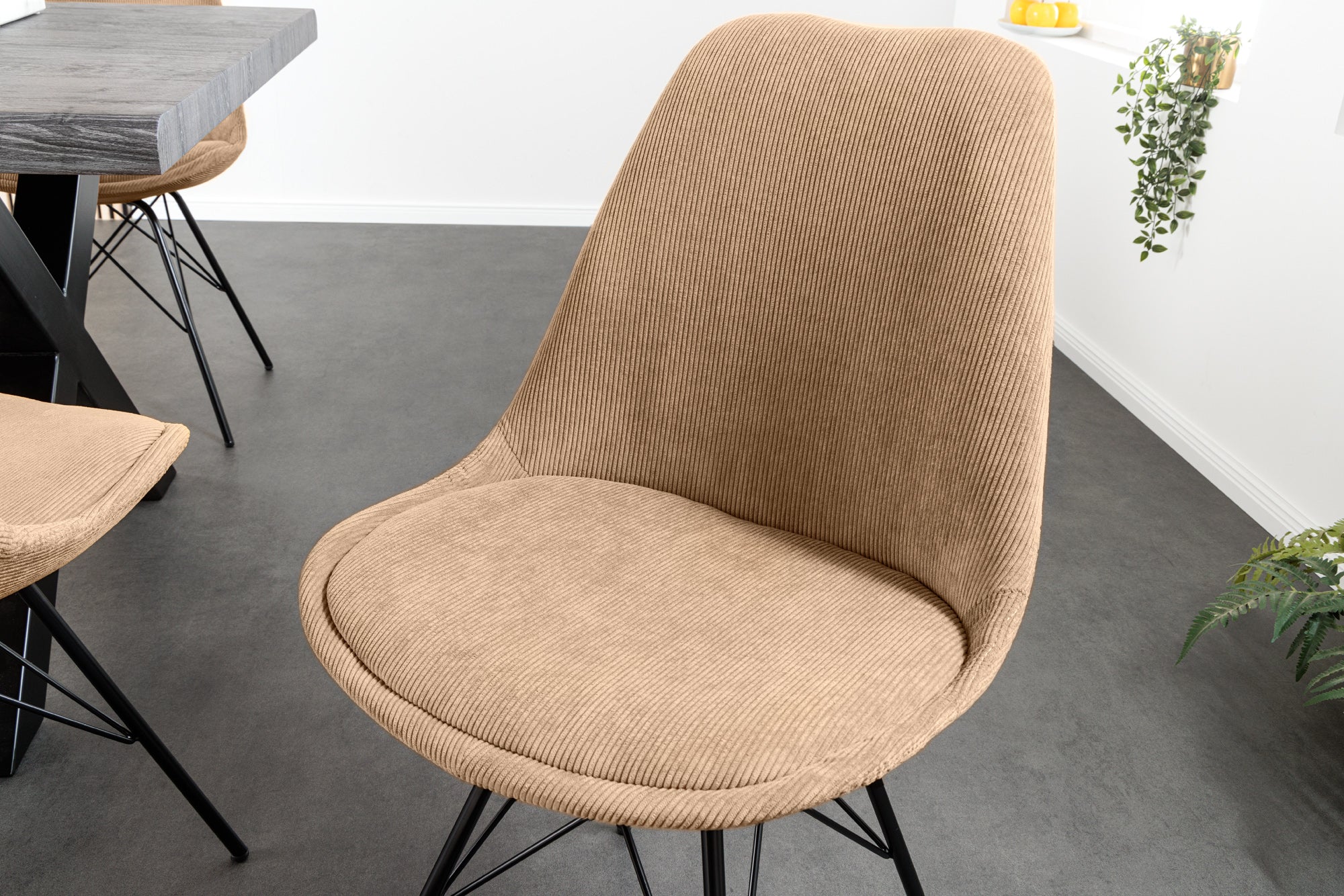 Lote de 2x sillas de diseño SCANDINAVIA MEISTERSTÜCK pana marrón estructura de metal negro