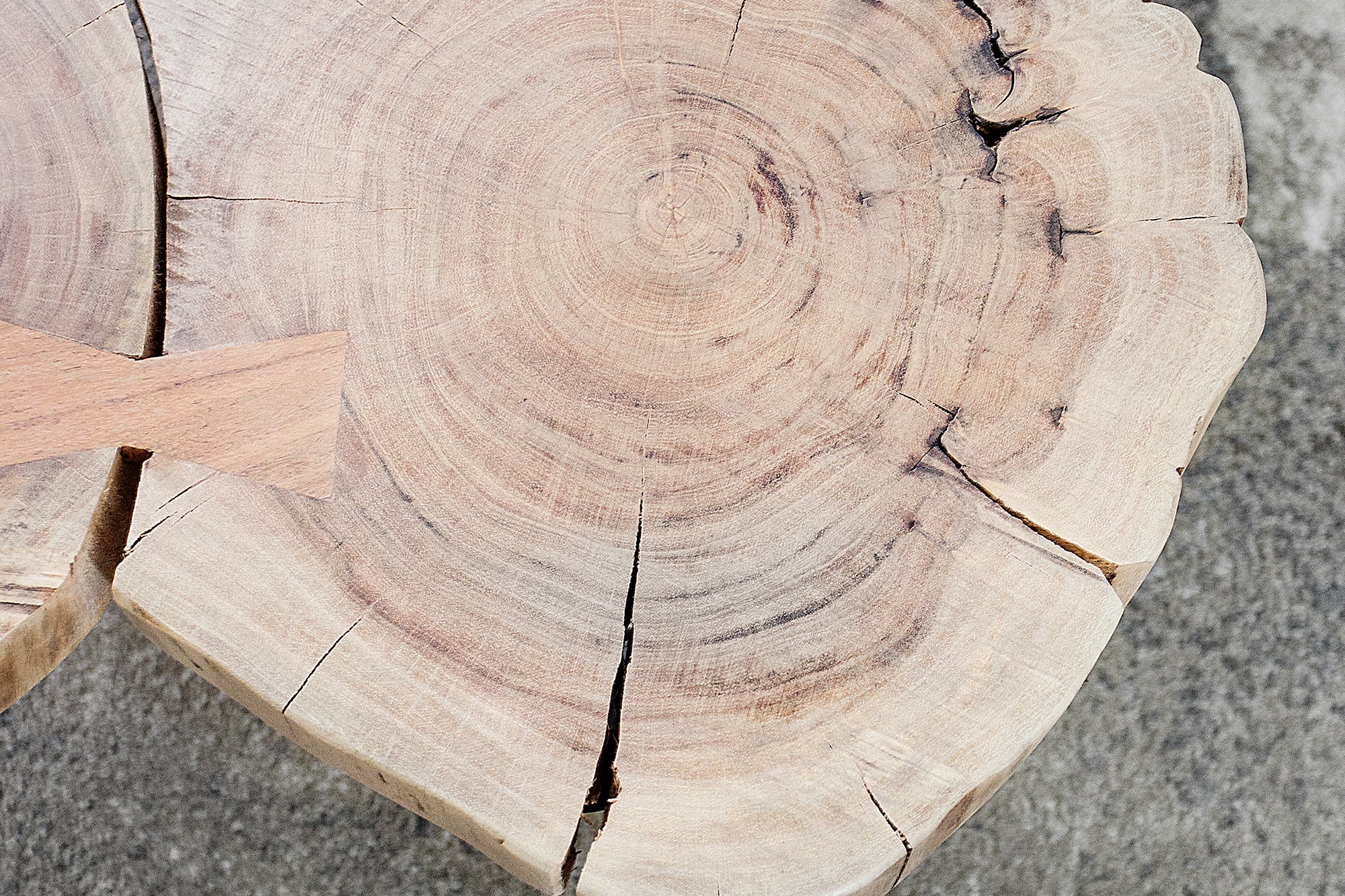 Table basse design GOA 110cm tronc d'acacia tranches 4cm plateau bois massif