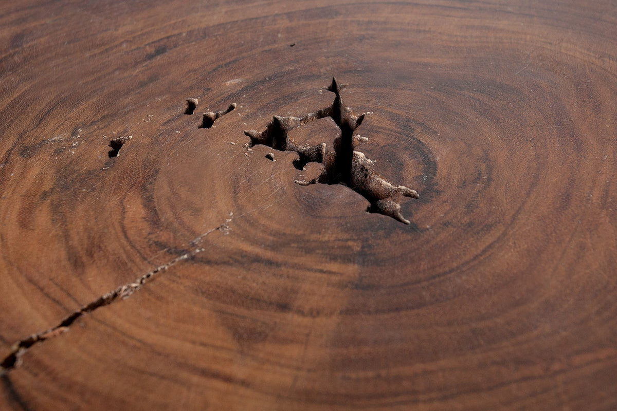 Table basse en bois massif GOA 50cm tabouret en tronc d’arbre d’acacia table d’appoint fait main