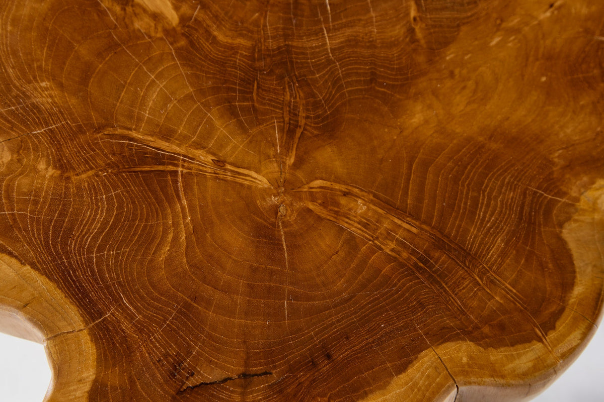 Table d’appoint massive ROOT 40cm en teck avec anneaux annuels