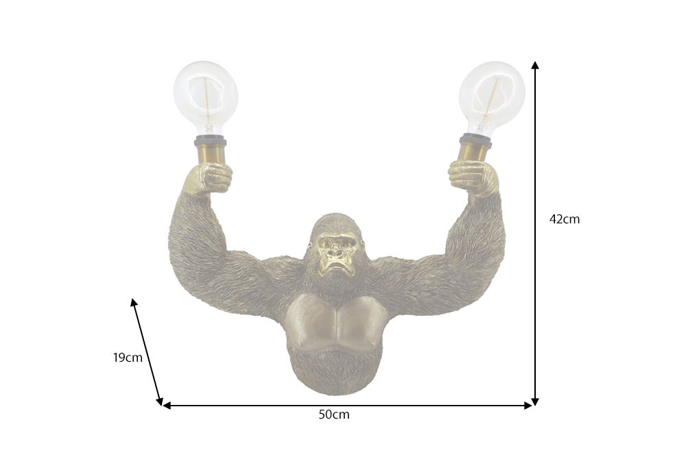 Dimensions de la table