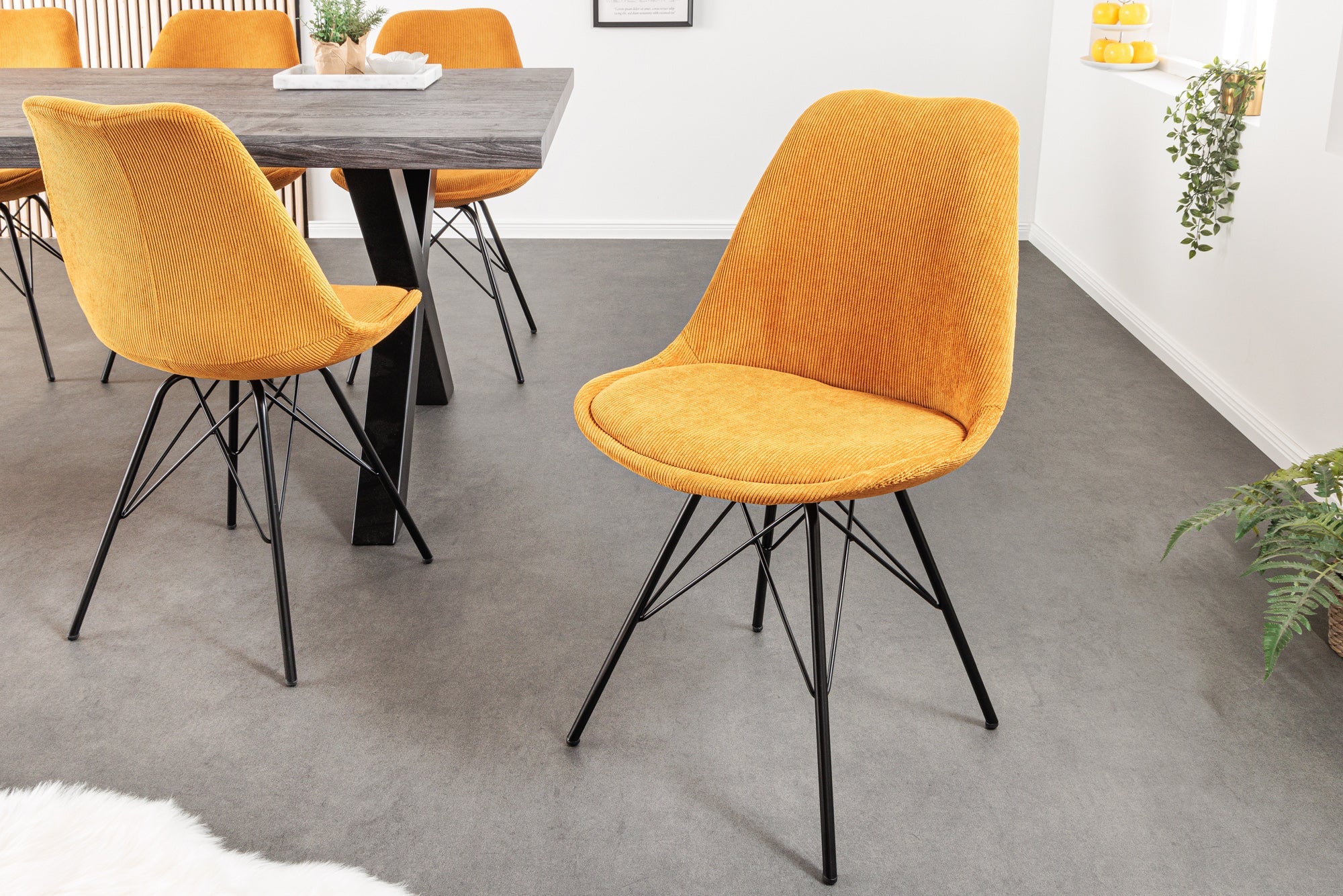 Lote de 2x sillas de diseño SCANDINAVIA MEISTERSTÜCK terciopelo amarillo mostaza patas de metal negro