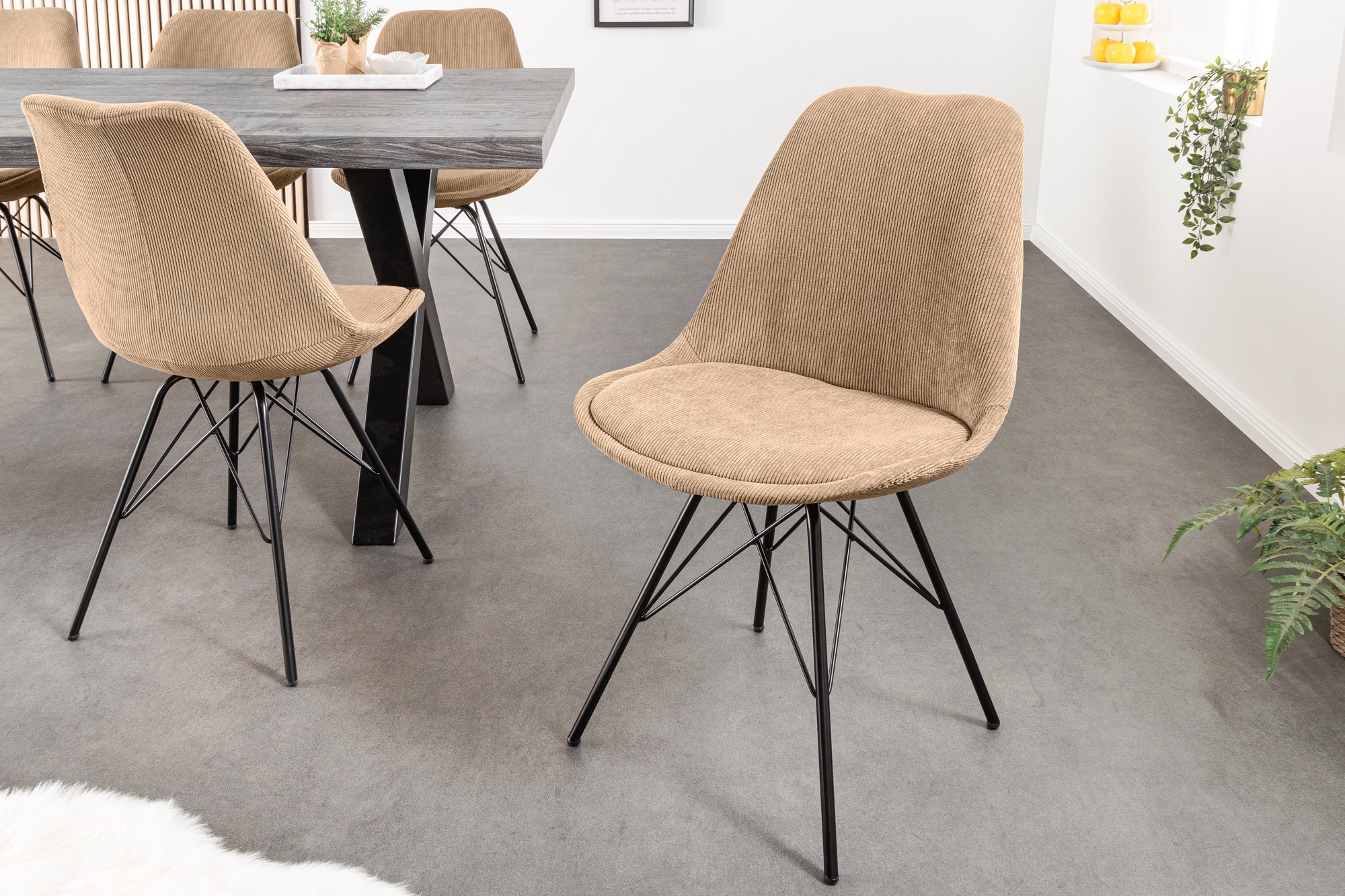 Lote de 2x sillas de diseño SCANDINAVIA MEISTERSTÜCK pana marrón estructura de metal negro