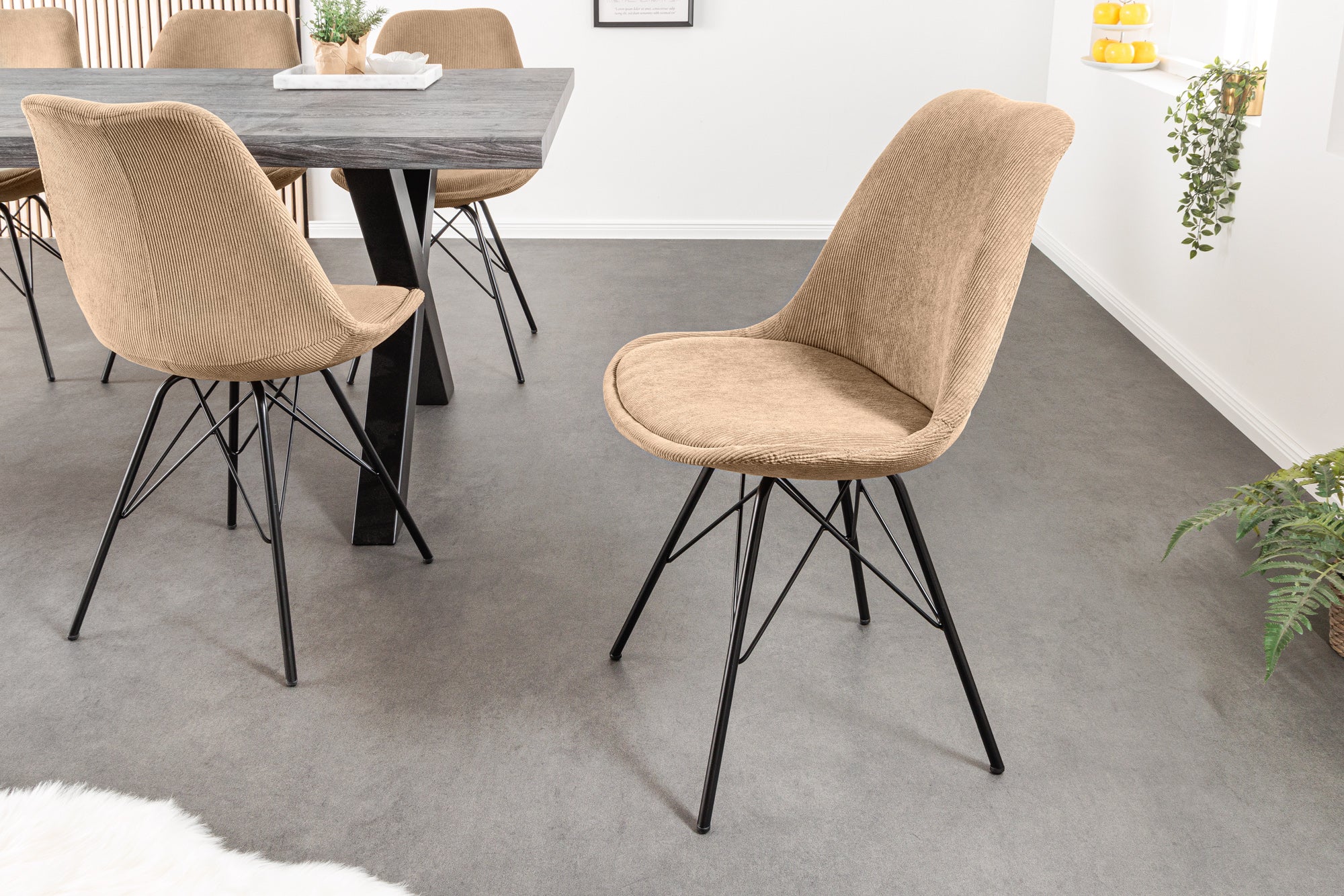 Lote de 2x sillas de diseño SCANDINAVIA MEISTERSTÜCK pana marrón estructura de metal negro
