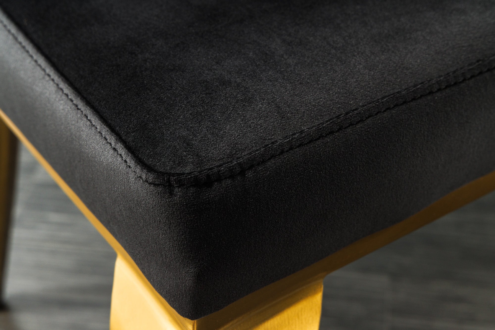 Juego de 2 elegantes sillas modernas de estilo barroco en terciopelo negro con cabeza de león dorada