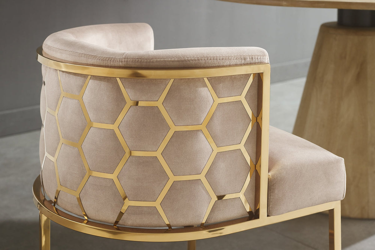 Chaise élégante ELEGANCE cappuccino velours or acier inoxydable avec accoudoir