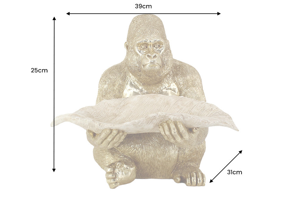 Dimensions de la table