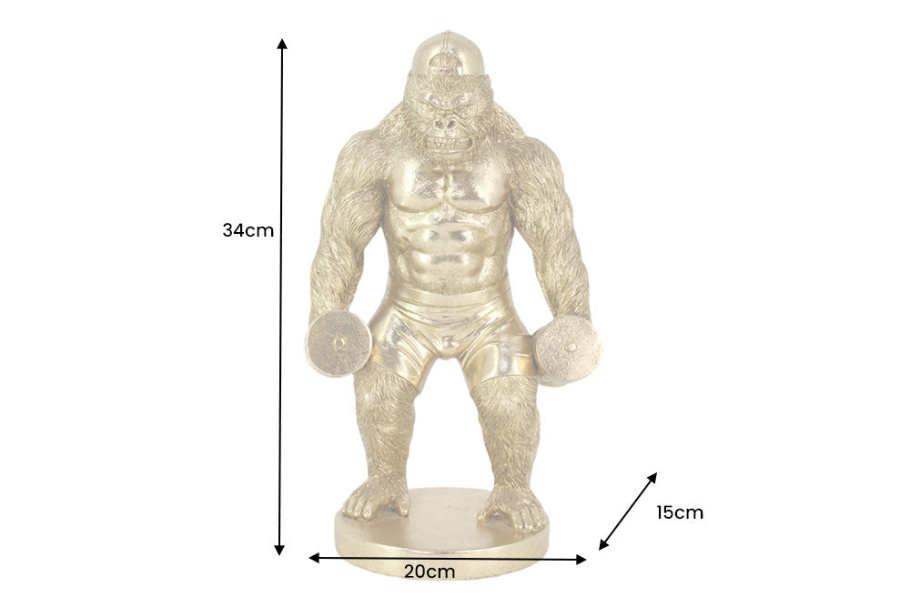 Dimensions de la table