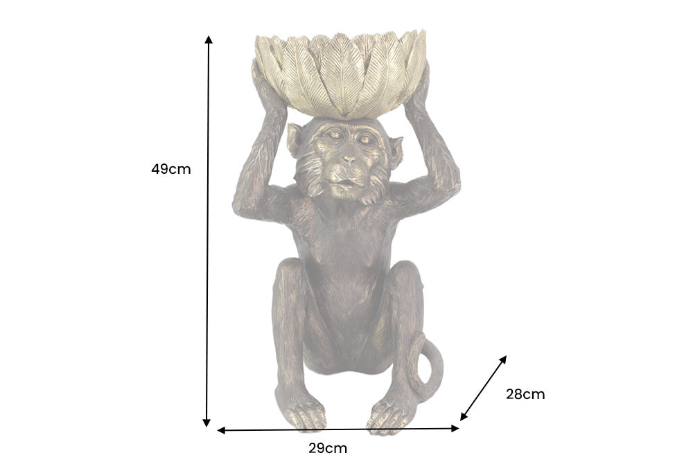 Dimensions de la table