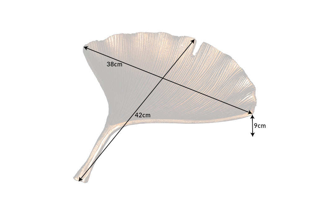 Dimensions de la table
