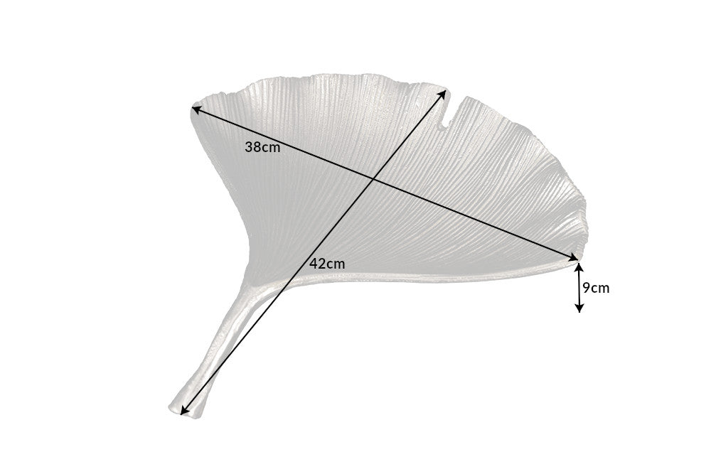 Dimensions de la table