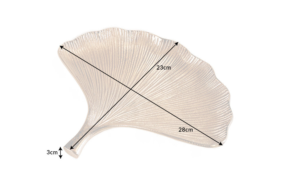 Dimensions de la table
