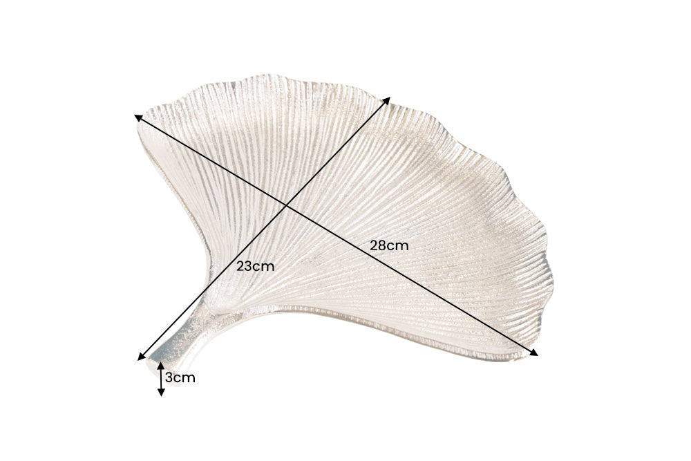 Dimensions de la table