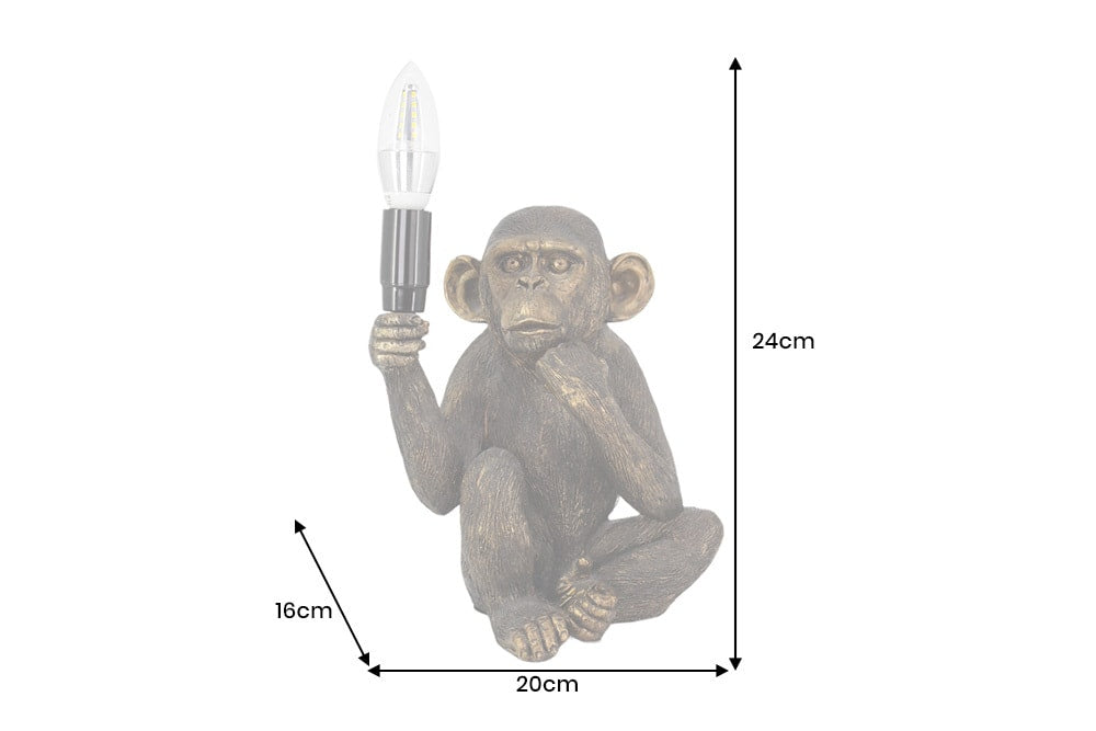Dimensions de la table