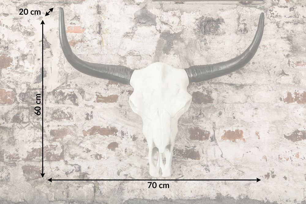 Dimensions de la table