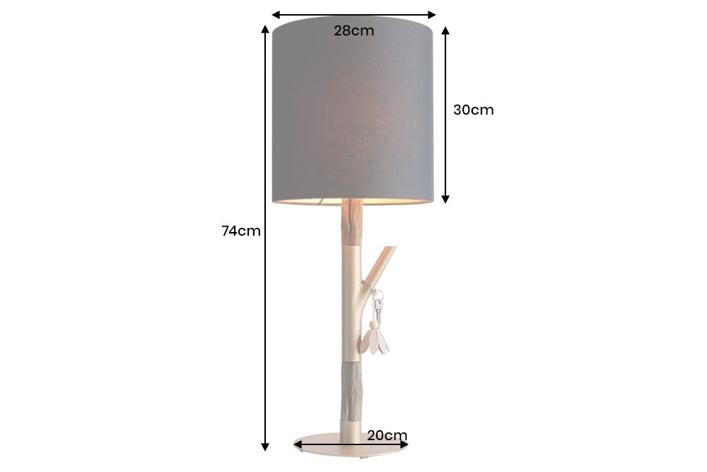 Dimensions de la table
