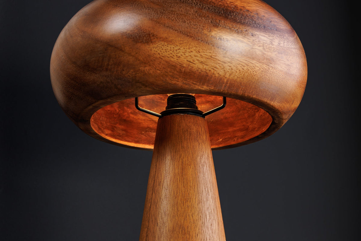 Lampe de table ronde ALVA 40cm bois d’acacia naturel lampe de table en fer