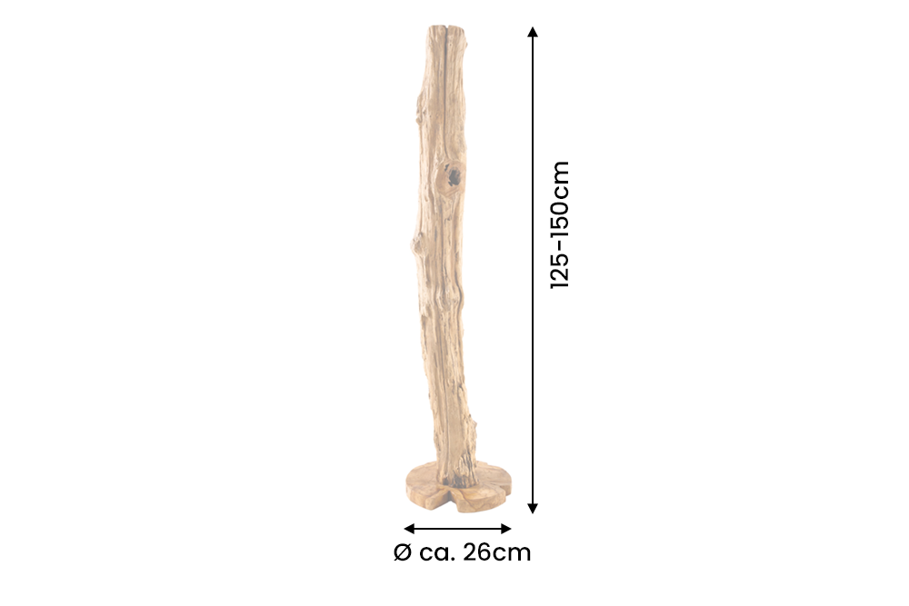 Dimensions de la table
