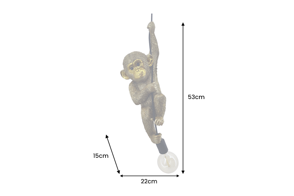 Dimensions de la table