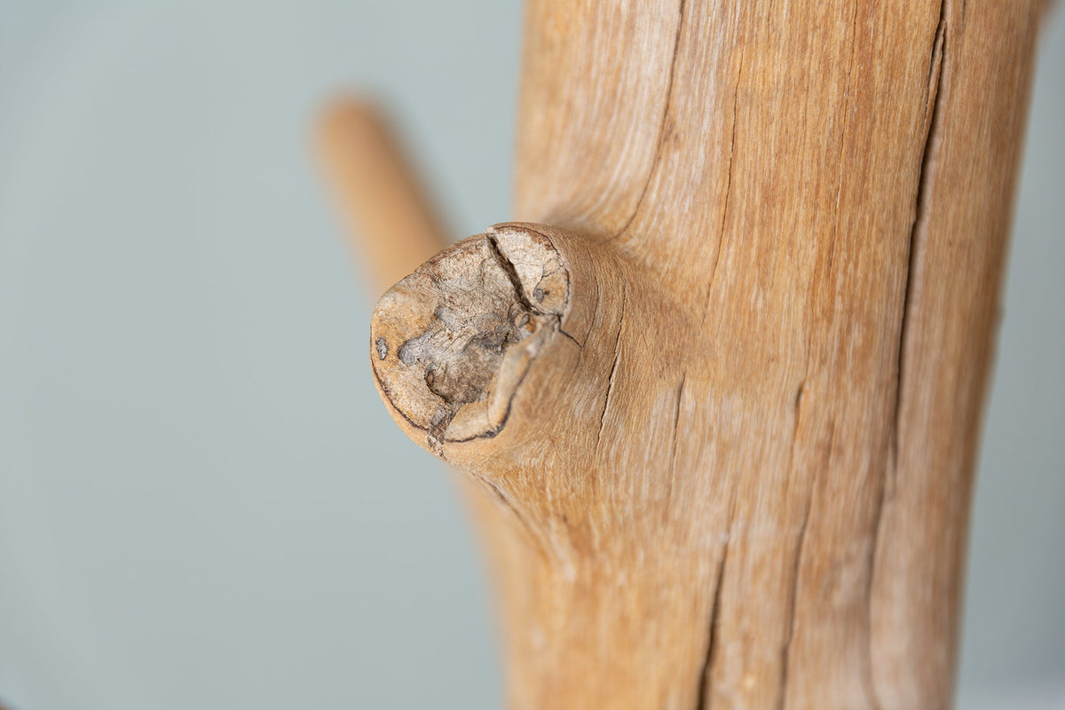 Porte-manteau massif TREE NATURE Porte-vêtements en bois naturel 170cm
