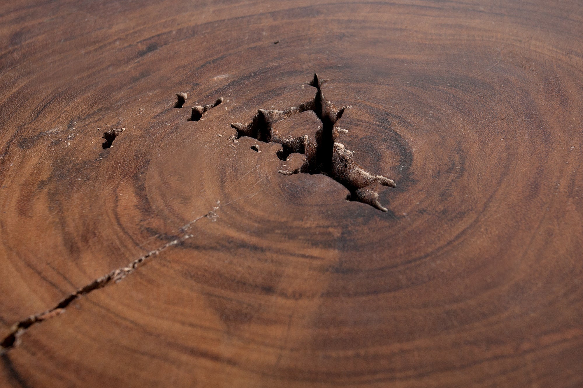 Table basse en bois massif GOA 50cm tabouret en tronc d’arbre d’acacia table d’appoint fait main