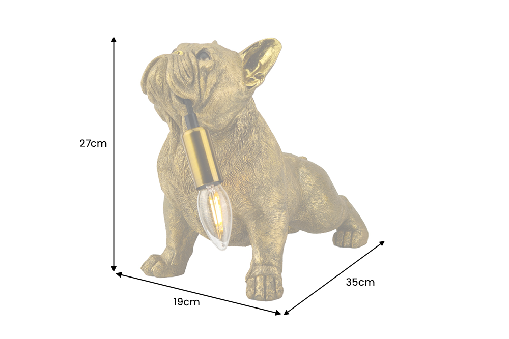 Dimensions de la table